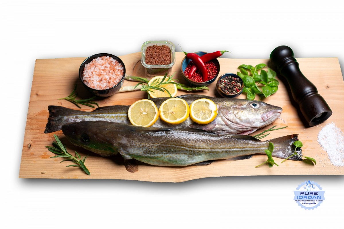 Cod from Denmark